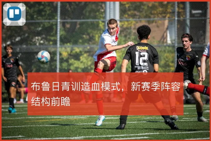 布鲁日青训造血模式，新赛季阵容结构前瞻